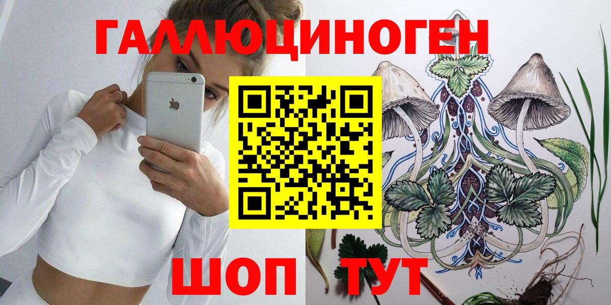 Псилоцибиновые грибы Psilocybine cubensis  Вход с VPN  Верхняя Салда  Галлюциногенные грибы Psilocybe 