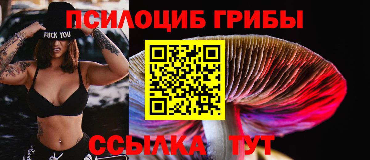 Псилоцибиновые грибы прущие грибы Верхняя Салда